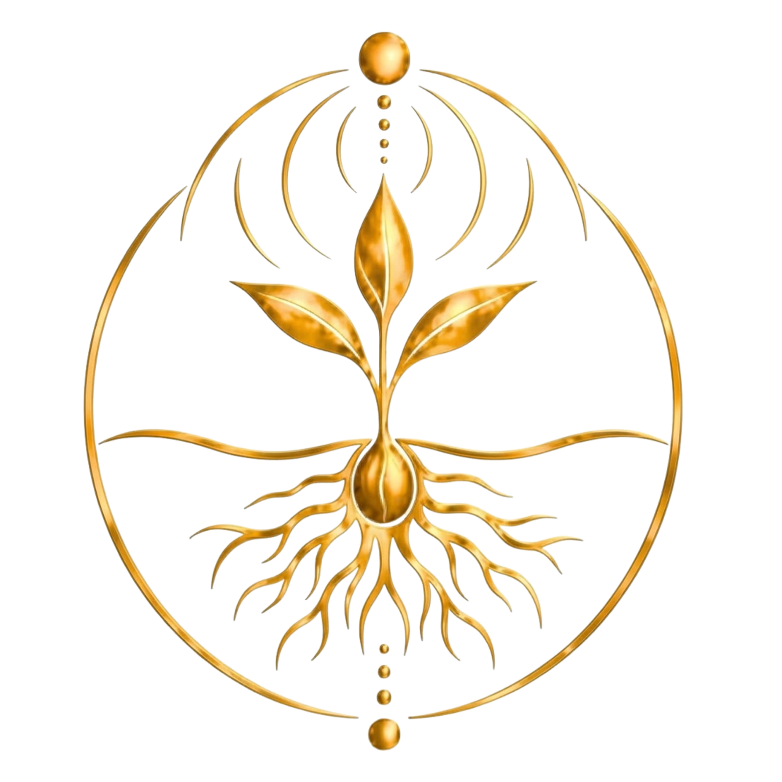 Icon Image